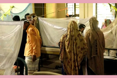 ডেঙ্গু আক্রান্ত হয়ে আরও ২৪০ জন হাসপাতালে ভর্তি